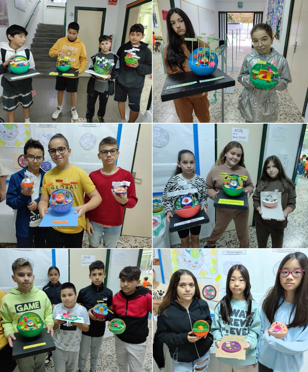 CeipSanAntonio's tweet photo. @educamolina @Maribelsm15 @Isabelsm3 @Isabelgadea @innovaedum @EscuelasActivas @PlenaMurcia @DEPORTEYSALUD4 @AuroraRS2 @Hospital_Molina @EERRMolina @Astrapace @AstradeRMurcia @CPRRegionMurcia @iborra_g @ProgramasRM @AytMolinaSegura @jaortegagarcia https://t.co/GJZrPVQjvT