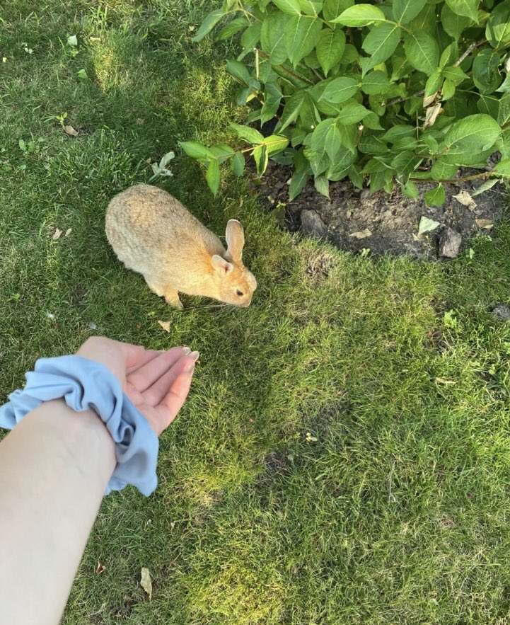 Good morning! Little troublemaker!
