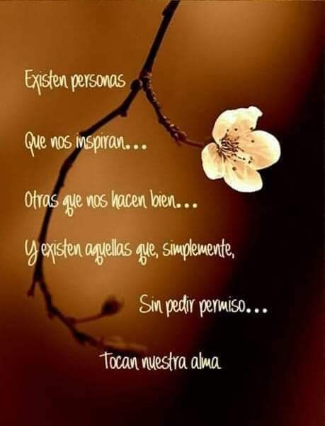 #MarceTeAyuda🔮 Excelente Día 🙏🔱 @MarcelaErcia @halconavicencio @jasmine50012486 @mary_veas1 @Juanchavez387_ @fernandomzoboli @guiller25136814 @TuVillanoFV 🐾 @haydeedelpato16 @AleUranTorres @itijv @MarceTeAyuda @Mariano03876298 @Shen76002347 @ranasilvia63 @MaryVeas4 @Liesell71