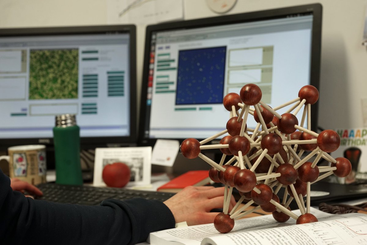 Interactive Inference tweet media