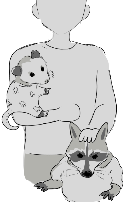 過去オポ絵 