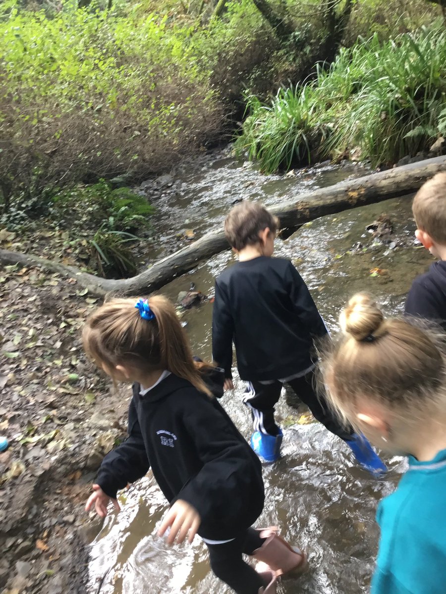 amy parsons (@amyparsons123) on Twitter photo What better way to explore our senses than a walk through Ham Woods…so much awe and wonder! We can’t wait to use our new vocabulary in our senses poems! <a href="/Mayflower_MCA/">Mayflower Academy</a> <a href="/siobhanbradsMCA/">Siobhan Bradshaw</a> <a href="/CatherineactMCA/">Catherine Acton</a> What better way to explore our senses than a walk through Ham Woods…so much awe and wonder! We can’t wait to use our new vocabulary in our senses poems! <a href="/Mayflower_MCA/">Mayflower Academy</a> <a href="/siobhanbradsMCA/">Siobhan Bradshaw</a> <a href="/CatherineactMCA/">Catherine Acton</a>