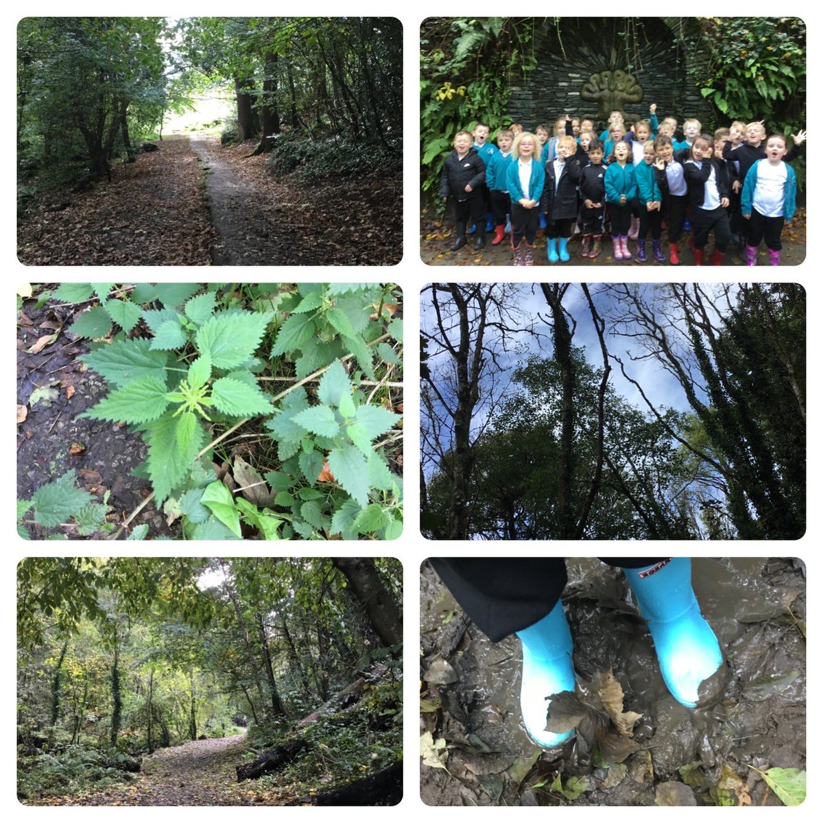 amyparsons123's tweet photo. What better way to explore our senses than a walk through Ham Woods…so much awe and wonder! We can’t wait to use our new vocabulary in our senses poems! @Mayflower_MCA @siobhanbradsMCA @CatherineactMCA https://t.co/mmskPRjJUi
