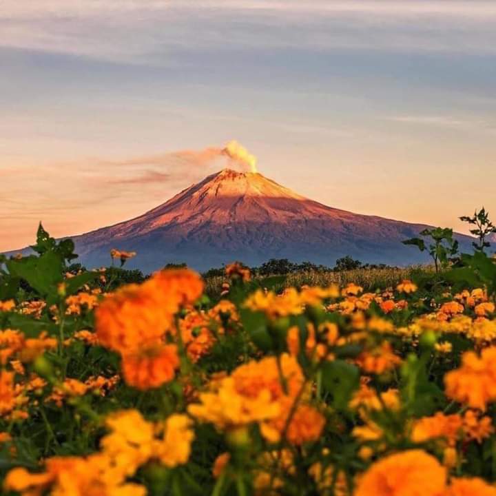 BarzonPoblano's tweet photo. #Puebla https://t.co/Z9T3tqQ2MX