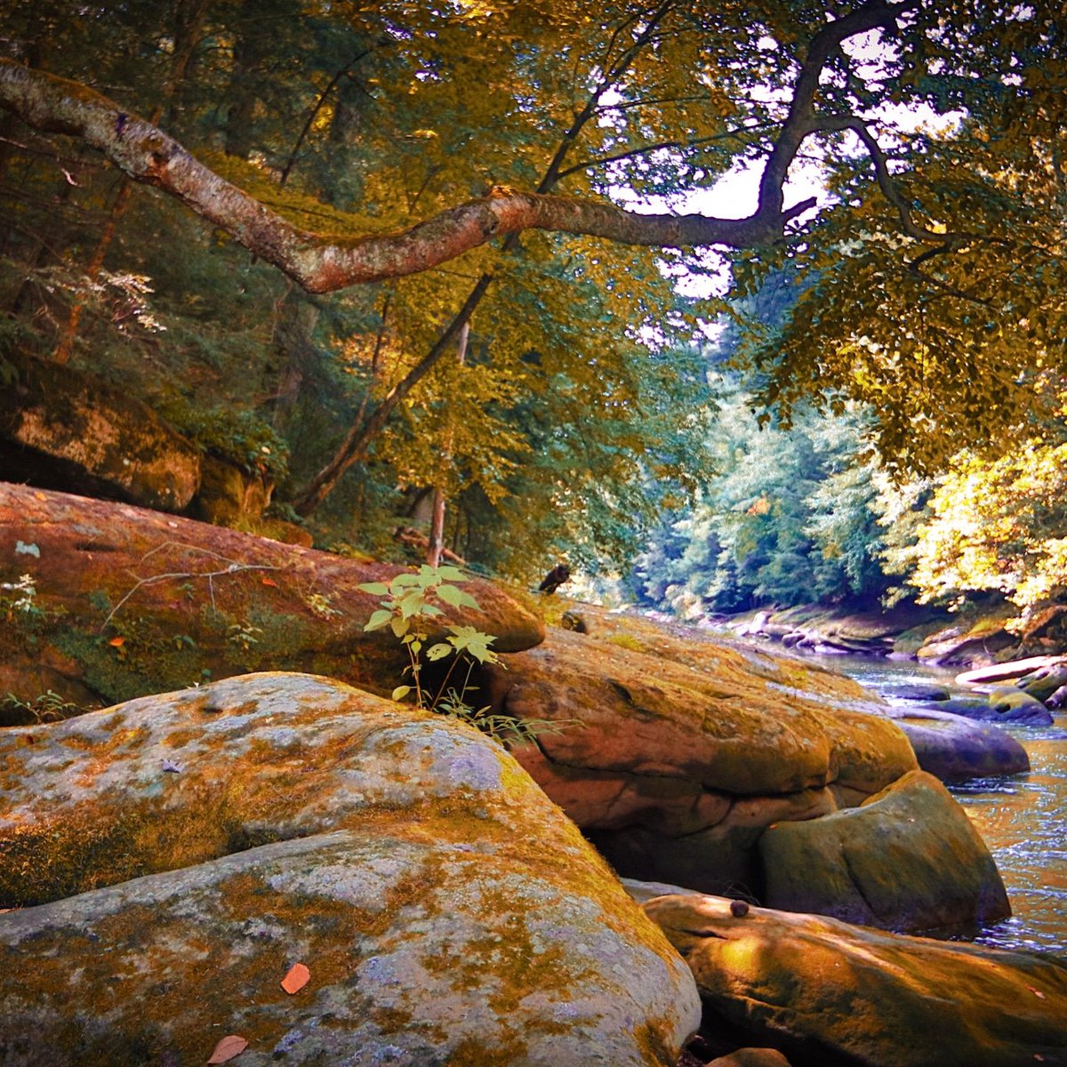 #canon #photography #PHOTOS #LandOfDreams #landscape #peaceofmind #fall