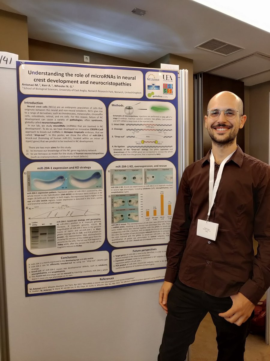 Amy Macleod tweet media