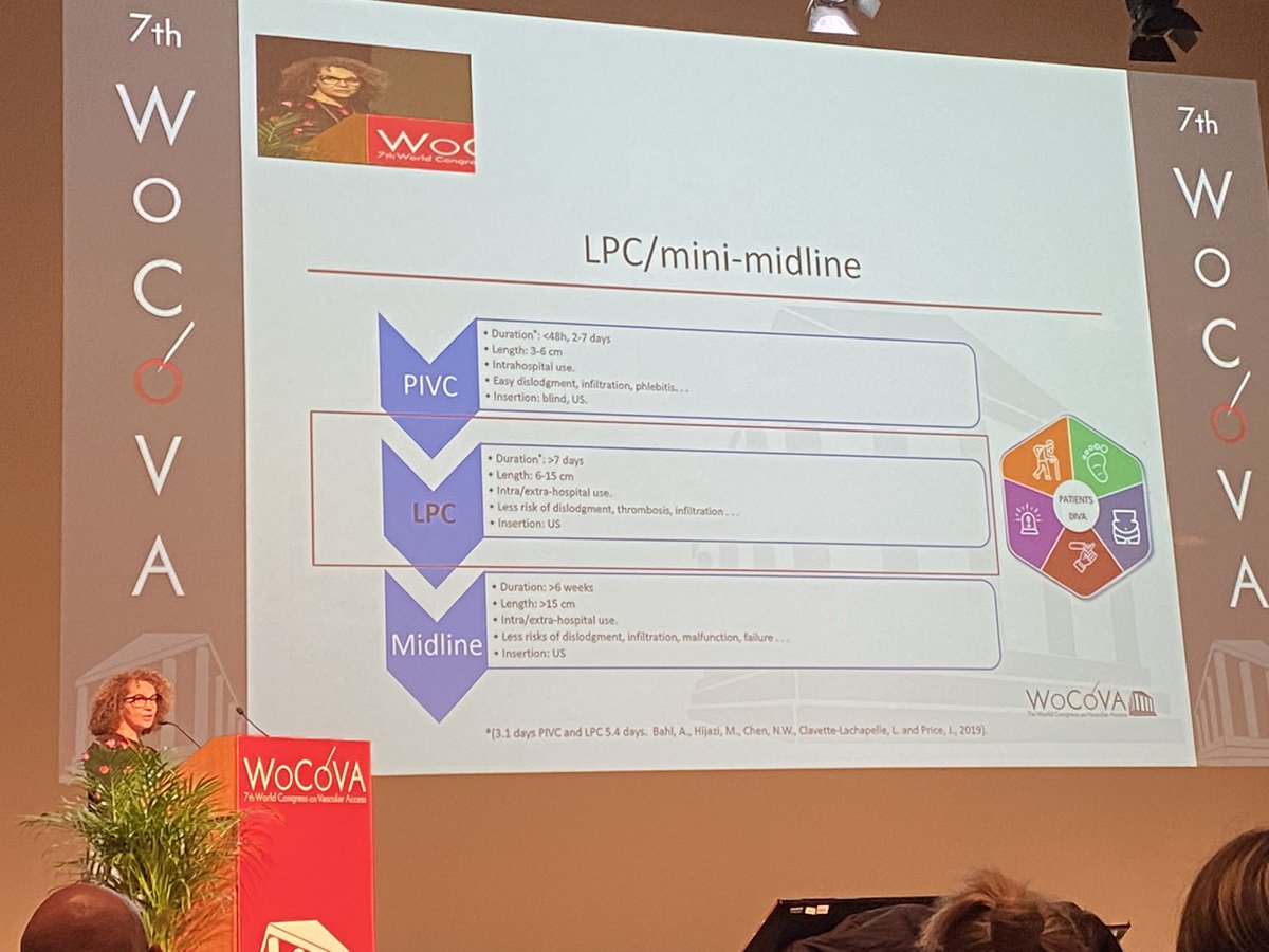 Virginia Lee tweet media