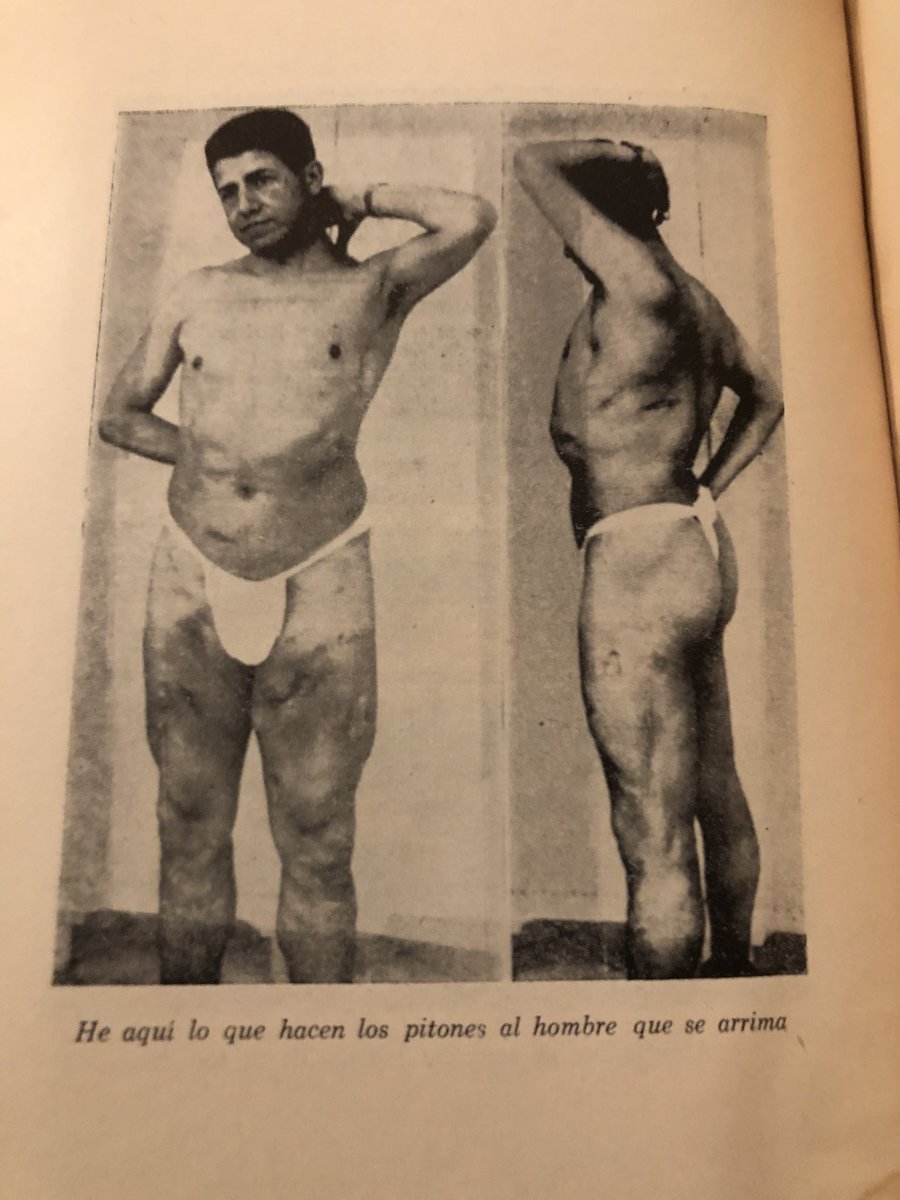 nicosampedro's tweet photo. Una joya, y una imagen -su cuerpo-.
- Vida dramática y muerte trágica de Luis Freg. Memorias y confesiones. Armando, de Maria y Campos. 1959 https://t.co/r2HHu8gAvu