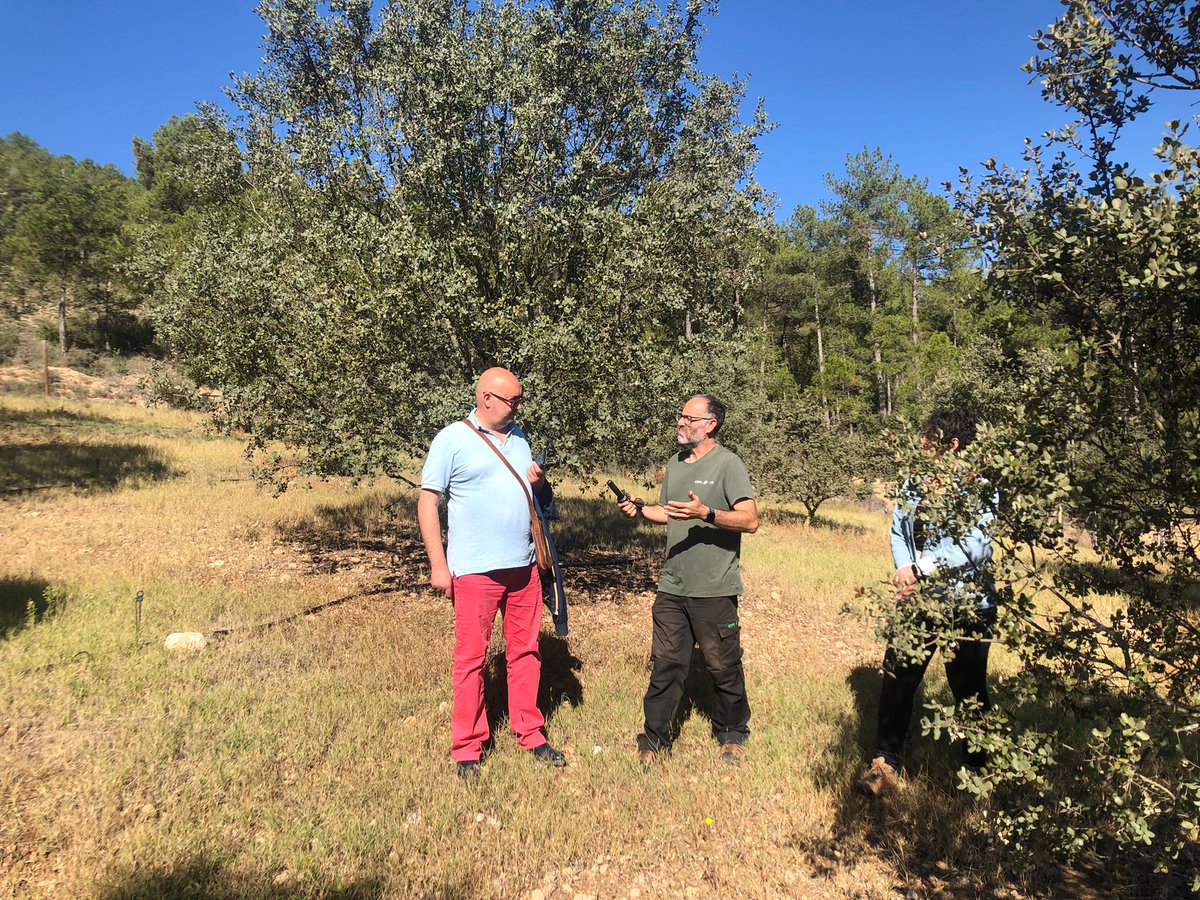 ctforestal's tweet image. Mirko Ceci, alcalde de #Pietralunga, visita el CTFC en el marco del @IntactProgetto #H2020, #tuber #trufa
intactproject.eu