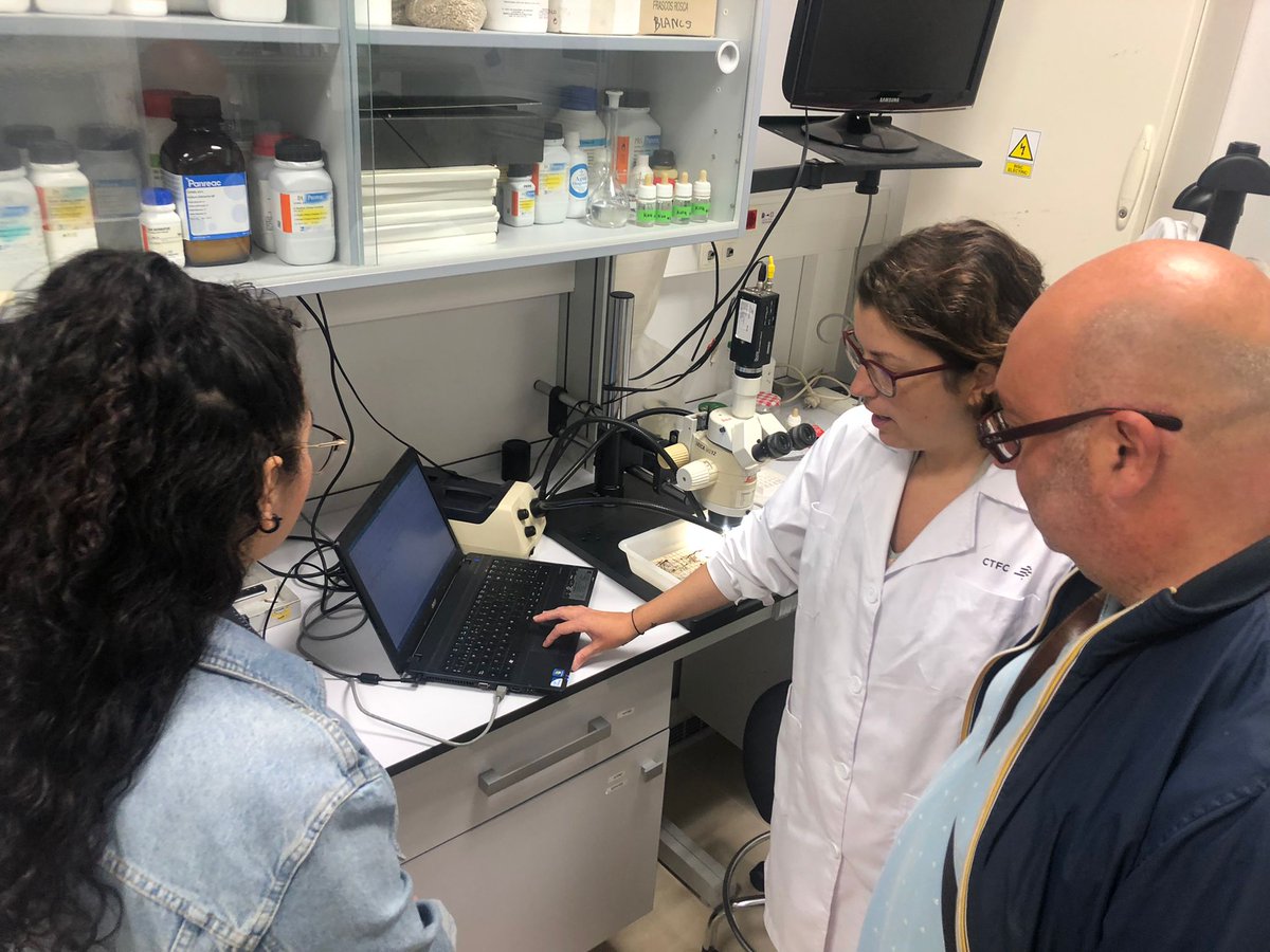 ctforestal's tweet image. Mirko Ceci, alcalde de #Pietralunga, visita el CTFC en el marco del @IntactProgetto #H2020, #tuber #trufa
intactproject.eu