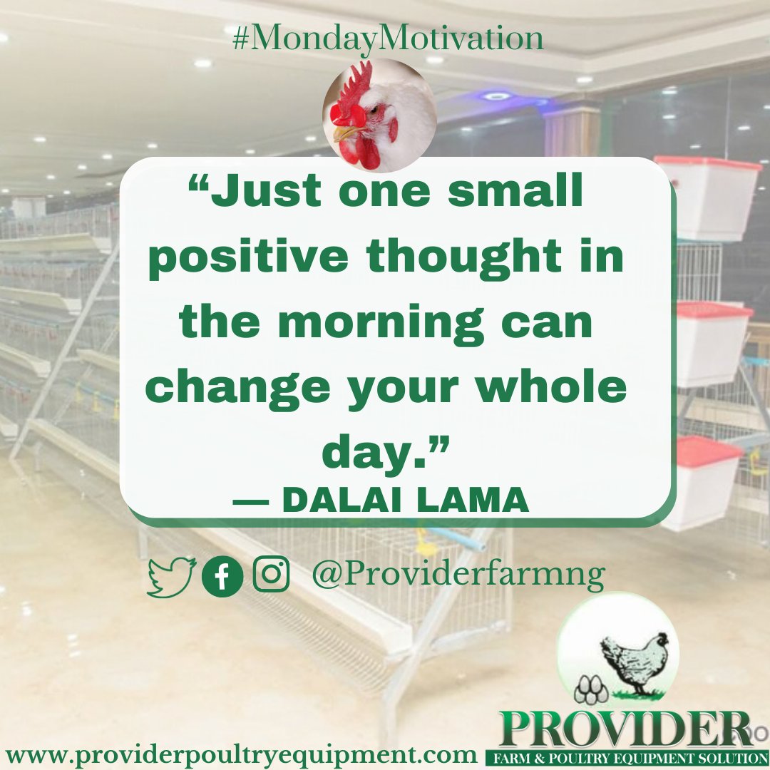 Providerfarmng's tweet photo. Just one small positive thought in the morning can change your whole day. 

– Dalai Lama

Good morning ☀️🌄

#ProviderFarm #equipment #Farmequipment #Poultry #Veterinary #Hatchery #Ibadan #Lagos #Nigeria #Abuja #FarmLife #agriculture #farming #ProviderFarm  #Hatchery #nigeria https://t.co/EtbT9yZ3kw