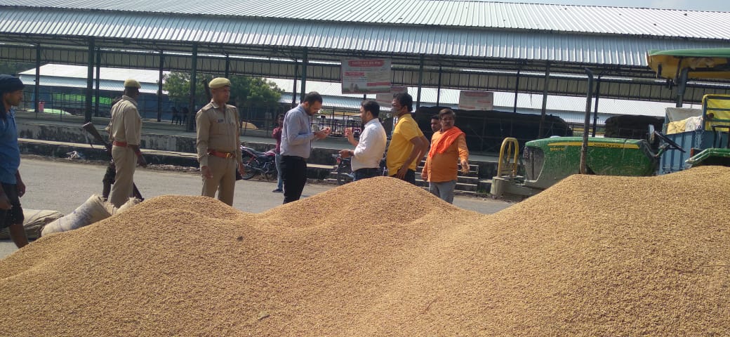आज दिनांक 17 अक्टूबर 2022 को मंडी समिति पलिया स्थित धान क्रय केंद्रों का औचक निरीक्षण किया गया तथा समस्त क्रय केंद्र प्रभारियों को क्रय केंद्र  नियत समयानुसार खोलने तथा नियमानुसार खरीद सुनिश्चित किए जाने हेतु निर्देशित किया गया। @DmKheri <a href="/MBSIAS2011UP/">Mahendra Bahadur Singh IAS</a>