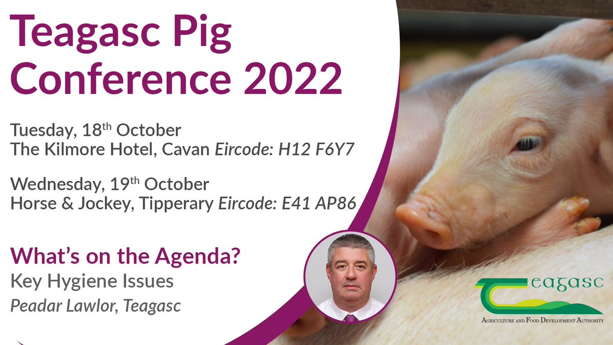 Teagasc (@teagasc) on Twitter photo Our annual <a href="/TeagascPig/">TeagascPig</a> Conference takes place tomorrow, Tuesday 18th of October in Cavan and Tipperary. Hear from guest speaker Peadar Lawlor, where he will present insights into key hygiene issues in the pig industry. Find out more here: bit.ly/3STgQjr #PigConference22 Our annual <a href="/TeagascPig/">TeagascPig</a> Conference takes place tomorrow, Tuesday 18th of October in Cavan and Tipperary. Hear from guest speaker Peadar Lawlor, where he will present insights into key hygiene issues in the pig industry. Find out more here: bit.ly/3STgQjr #PigConference22