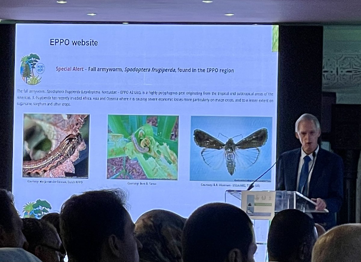 KamounLab's tweet photo. #ACPP2022 @Nico_Horn_EPPO @EPPOnews introducing the guidelines of the International Plant Protection Convention (IPPC): reporting is a requirement; plant health is a shared responsibility, you can’t do it alone. https://t.co/I0uu6T4fC9