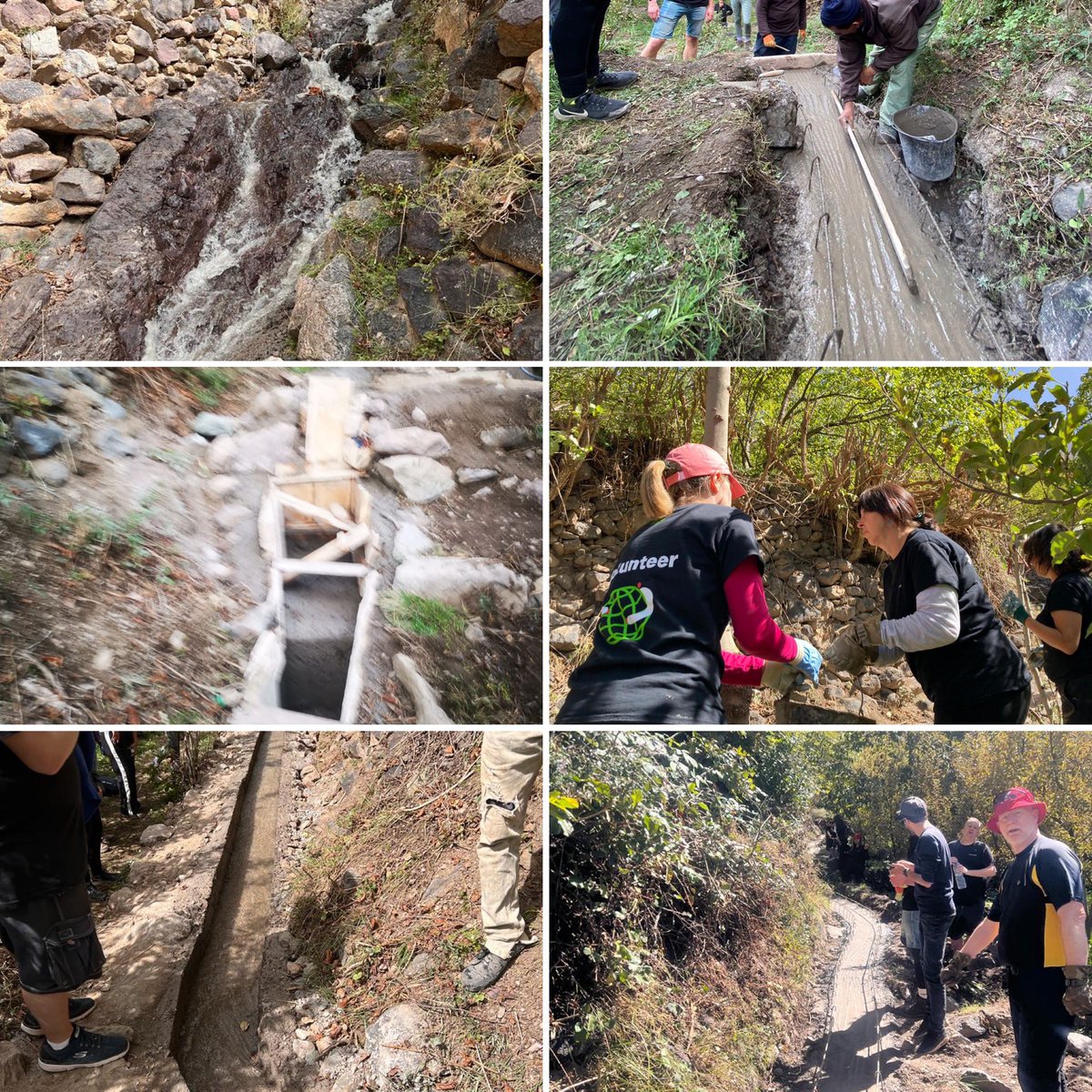 Helen Devanny tweet media