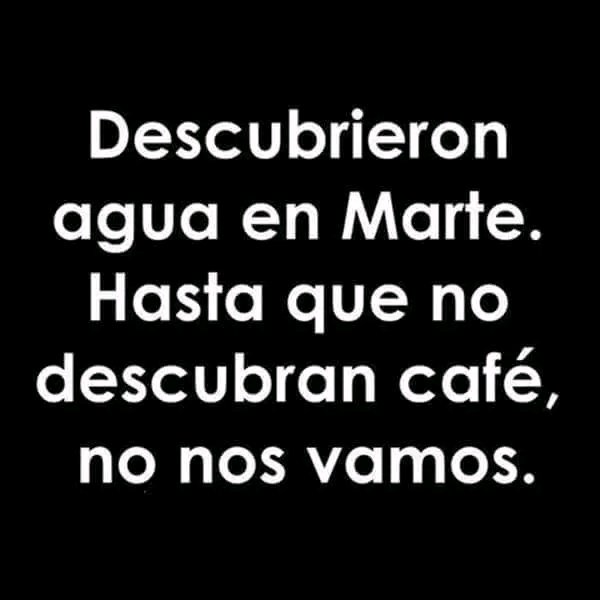 YadiraAlBet's tweet photo. Primero salven la Tierra, luego terraformen Marte y después, cultiven café. Si no, ni me llamen.

Güenas por aquí, soporten el lunes, que son solo 24 horitas https://t.co/Sz5ceeKPhu