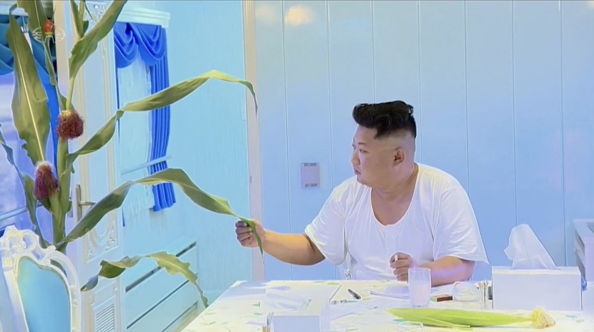 ColinZwirko's tweet photo. New 100-minute KJU propaganda documentary on KCTV Sunday, titled "The People's Father." Another one about "fatherly care" for the people re: policies on home construction, food, consumer goods, COVID etc. Not too exciting but some tidbits. First, tshirt touchin a plant on a train https://t.co/sHi0EadnWL