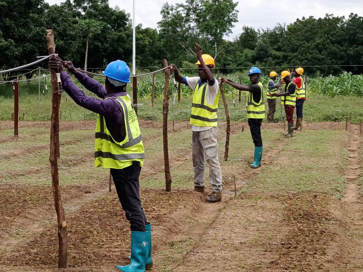 elhadjham's tweet photo. L'#irrigation au développement de l'#agriculture au #TOGO et dans la zone #CEDEAO #ECOWAS. Nous formons les jeunes à disposer d'outils nécessaire pour la gestion rationnelle de l'#eau dans le domaine de l'#agriculture.
#TgTwittos , @GouvTg , #BAD, #MAEDR, #MIFA, #PIA. https://t.co/jfKU6Zaes0