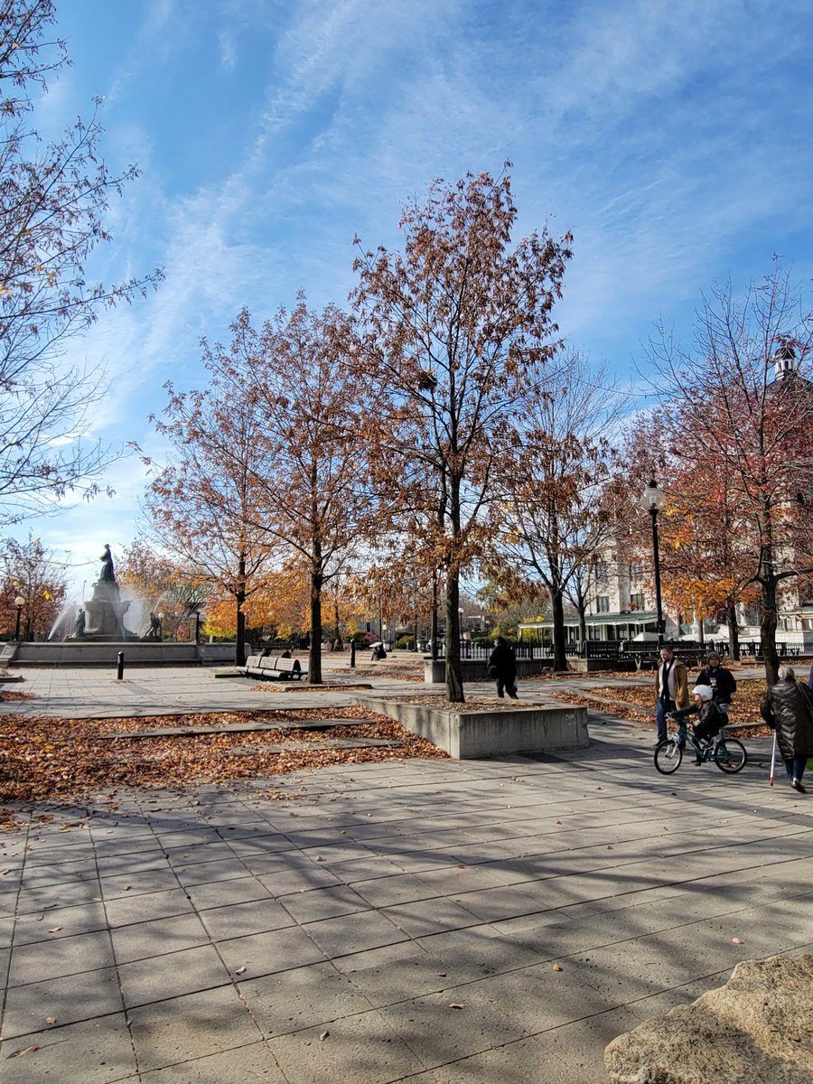 Gorgeous Sunday morning at Marché Maisonneuve.