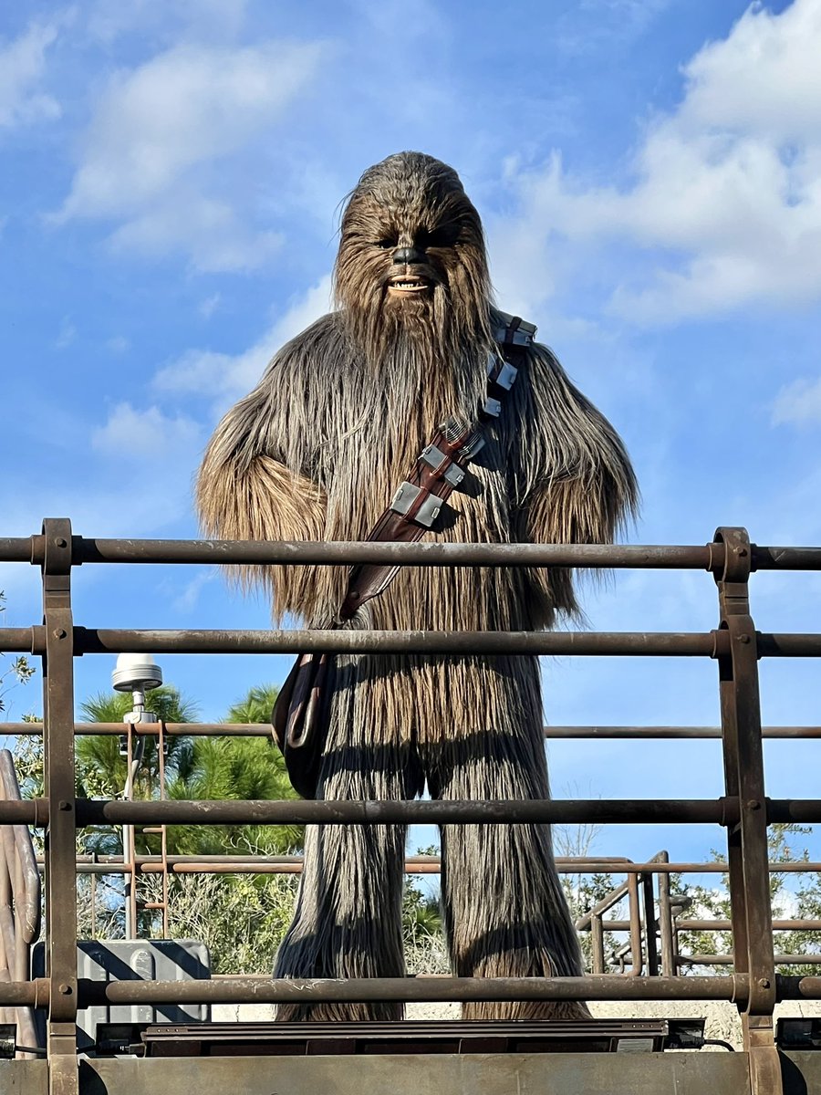 ogorangebird's tweet photo. I didn’t know a Wookiee could smile. #dailydisney #WaltDisneyWorld #HollywoodStudios https://t.co/43bQDjxVhl