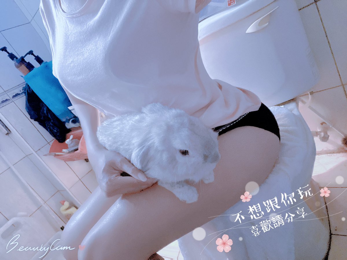 我家垂耳兔胖豆子真的是越來越大隻，真的像一隻狗，有夠重。 https://t.co/AseiOs1Ea3