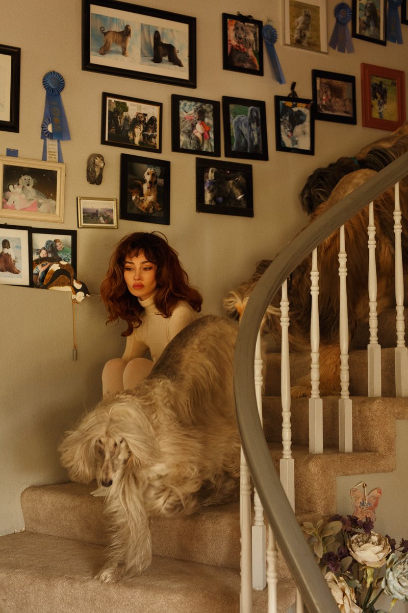 Exhibition | BITCHES by Daniel Sachon ends today - mailchi.mp/imitatemodern/…