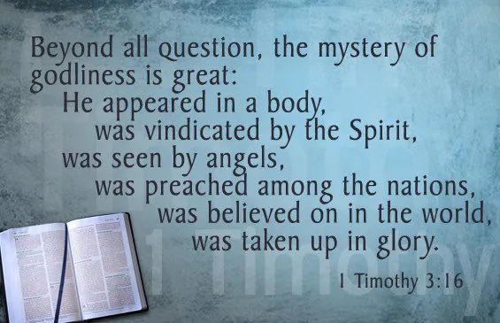 larryjbarker's tweet photo. But if I should be delayed, I have written so that you will know how people ought to act in God’s household, which is the church of the living God, the pillar and foundation of the truth. #1Tim3:15 #SOAP2022 #GodsHousehold #thestone3 https://t.co/rmkz8fo7Ca