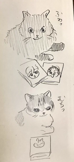 https://t.co/6gEkPn5JIg 