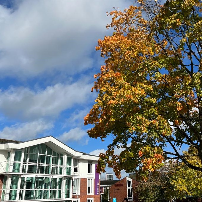 Campus is full of colour at the moment 🍂