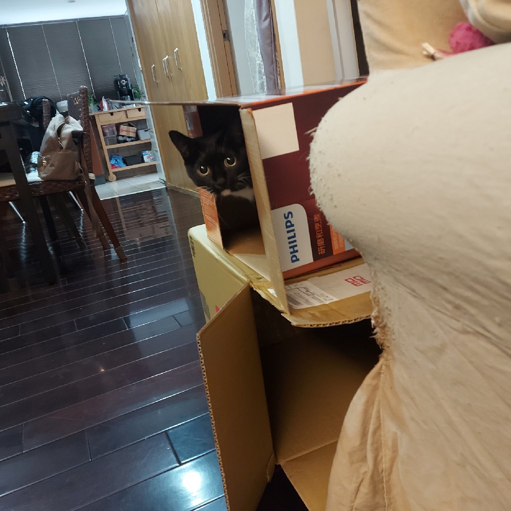 Jasmi0525's tweet photo. 買了新咖啡機
包子新居落成 https://t.co/180fHhjTvb