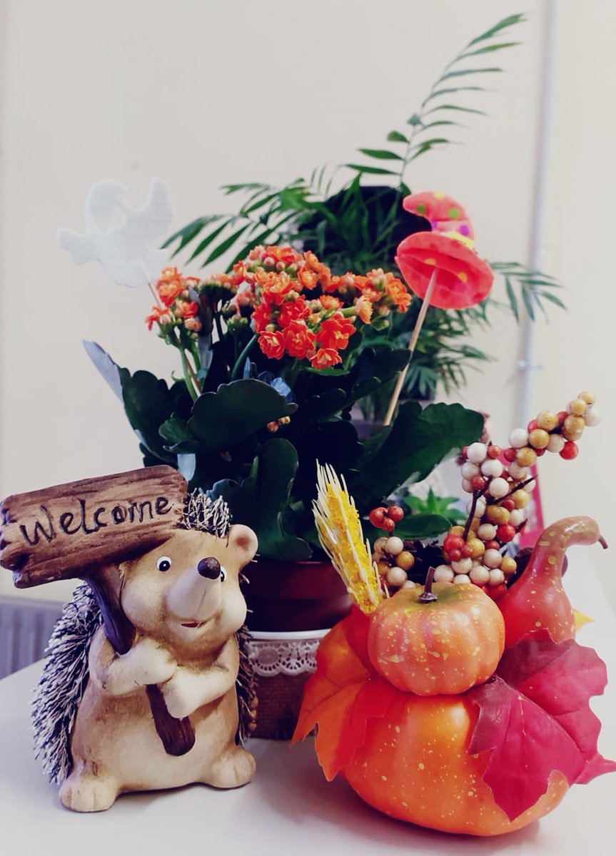 AFA Getafe Leganés (@afalgetafe) on Twitter photo 