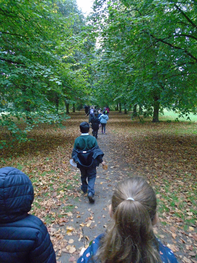 Year 3 went on a Science Walk to Hughenden Park on Friday 14th October. We were leaf detectives and tried to identify trees by observing their leaves. We found conkers, acorns and sycamore seeds and this helped to enrich our understanding about different types of  seed dispersal.