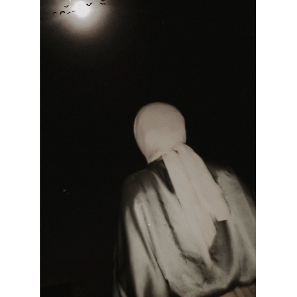 Fly me to the moon1
Let me play among the stars🖤🌑