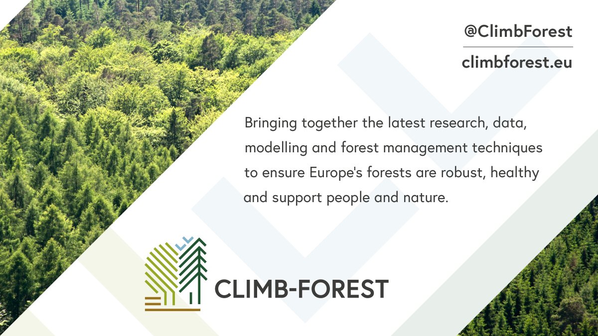 ClimbForest (@climbforest) on Twitter photo CLIMB-FOREST is a new <a href="/HorizonEU/">Horizon Europe 🇪🇺</a> project working to ensure Europe’s forests are resilient to the changing climate and support people and nature.
Find out more at: climbforest.eu CLIMB-FOREST is a new <a href="/HorizonEU/">Horizon Europe 🇪🇺</a> project working to ensure Europe’s forests are resilient to the changing climate and support people and nature.
Find out more at: climbforest.eu