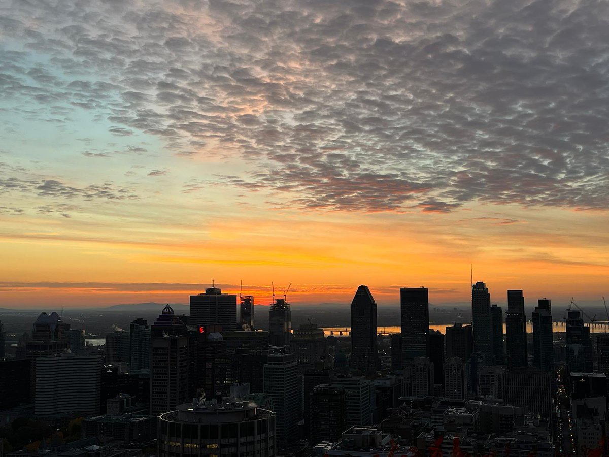 MasterUnicAssas's tweet photo. Le soleil se lève sur la ville de Montréal  ! 🌅

La promotion des M2 2022-2023 Du @MasterUnicAssas vous souhaite une excellente journée ! 

#UniCanada https://t.co/ds5G7WZDeZ