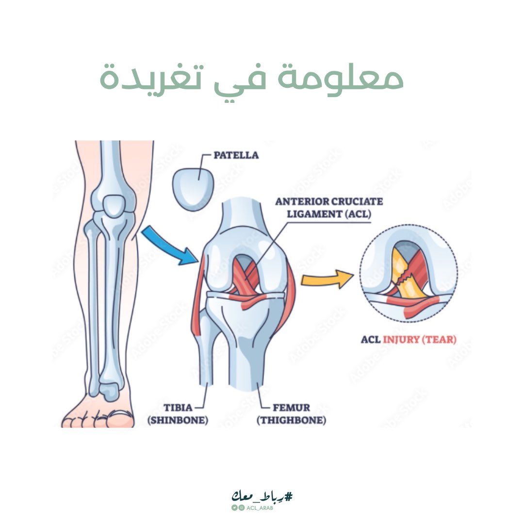 رِباط tweet media