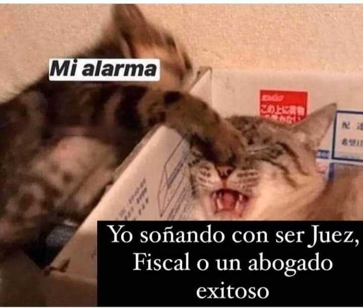 Mi alarma.
