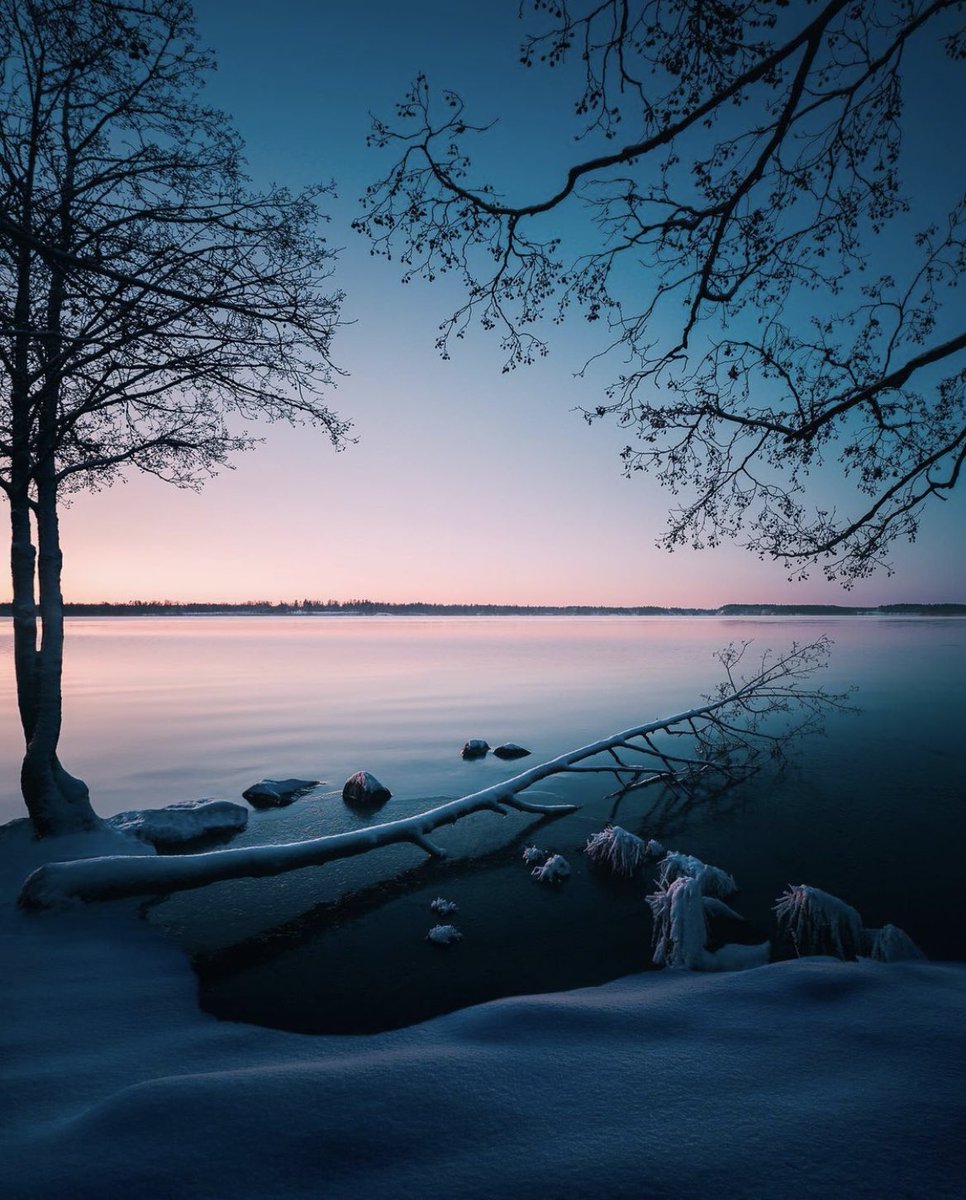 earthcurated's tweet photo. Winter sunrise in Finland 🇫🇮 https://t.co/eCSeHbanBH
