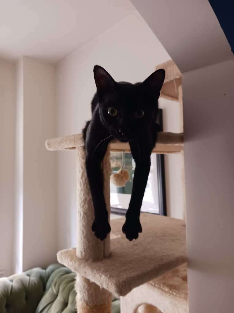 CatherineFraas's tweet photo. Oh hi. I'm just hanging out. https://t.co/KTOqq1vlpP