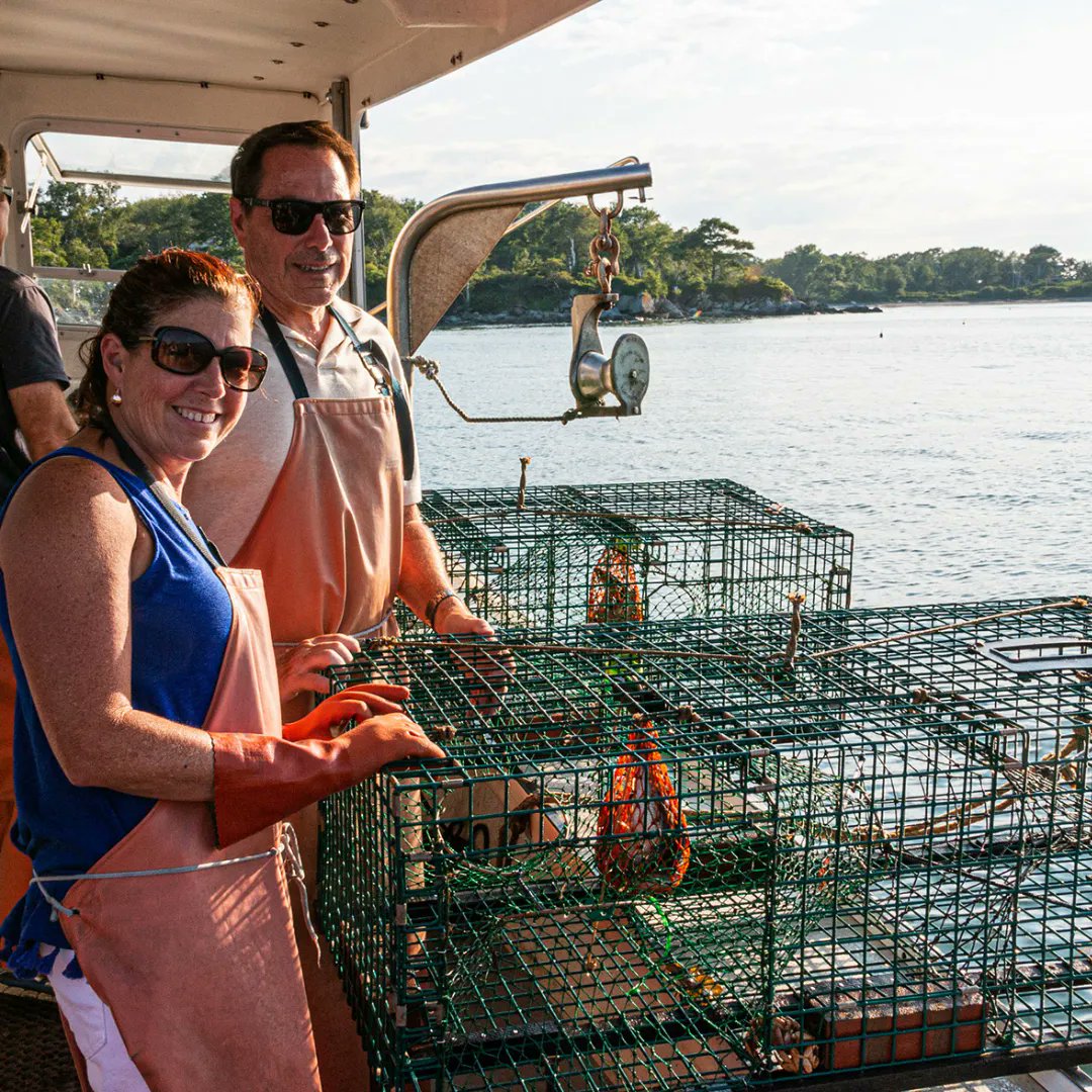 Spartan carries lobster trap wire in assorted colours and sizes for building traps or bait boxes.

Products and Features:
- Lobster Wire (1.5" x 1.5" mesh)
- Bait Box Wire (.5" x.5" / .5" x 1" / 1" x 1") 

Contact us for more information! 

buff.ly/2DNKgeu