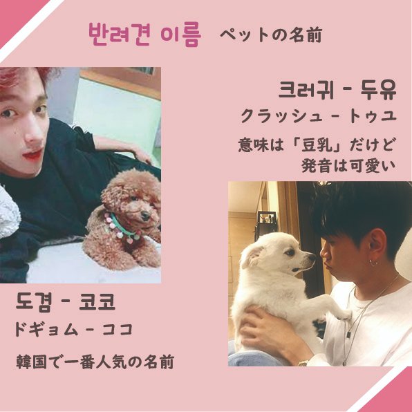 Nadeshiko韓国語講座 お家で飼っている犬の名前は何ですか 韓国で一番人気の名前は ココ トゥユ 豆乳 や ホドゥ くるみ も発音が可愛くて人気です インスタグラムでも紹介してます T Co N1vchbgnzx T Co S7gvnqrwwf