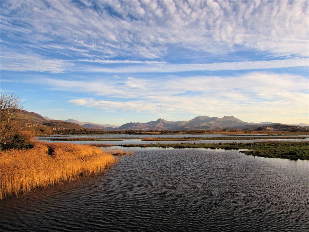 Peatland, a key ecosystem for wildlife habitat and carbon storage, is to be tripled in Wales as part of #NatureRecovery plans. Read more on the recommendations from a 'Biodiversity Deep Dive' commissioned by the @WelshGovernment ⤵️ naturebasedsolutionsinitiative.org/news/wales-wel…