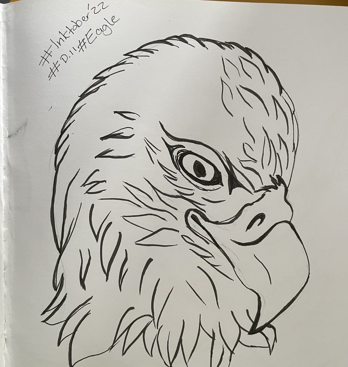 PistachioNotts's tweet image. It&apos;s another Monday in October, so it&apos;s time for another @Inktober round-up from Pistachio HQ.

Emmy has sketched up a storm for days 11, 12 and 17 – Salty, Forget and Eagle. Trip to the seaside anyone...? 🌊 🐟 🦅

#Inktober22 #Inktober #creativeagency #getyourdrawon