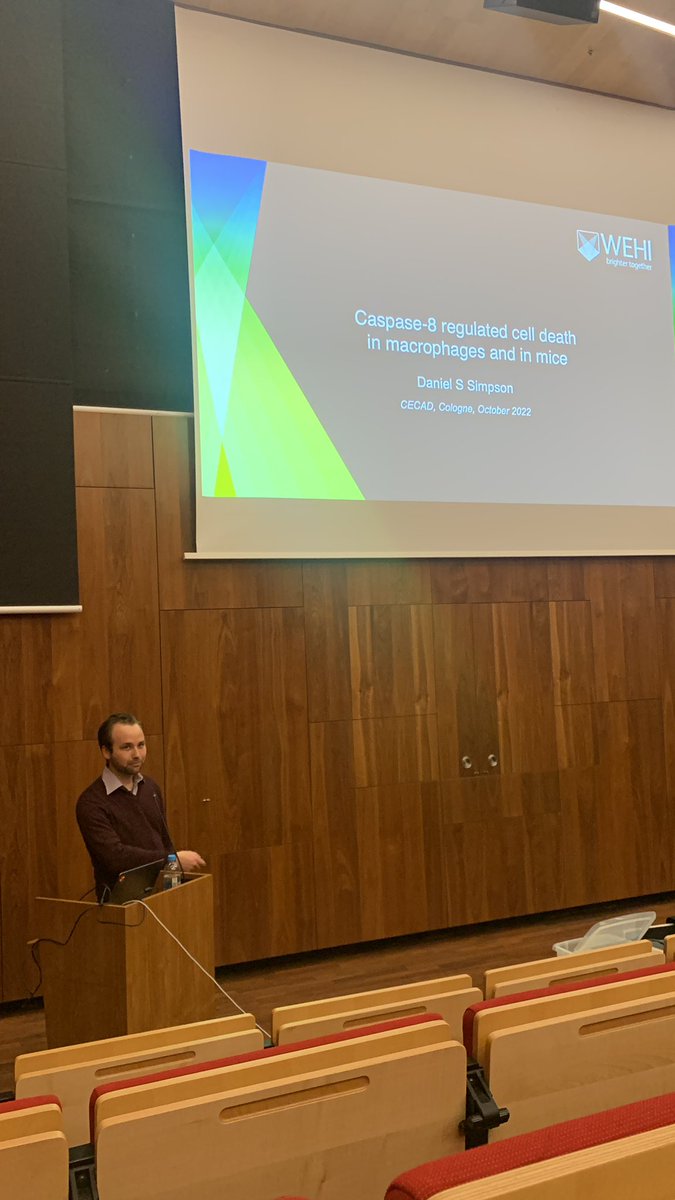 Giammy_L's tweet photo. Recrutiment seminar by Daniel Simposon from @WEHI_research @FelthamLab and #vincelab. https://t.co/ebPIkqTx1U