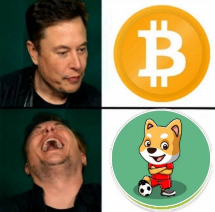 SoccerDoge (@soccer_doge) on Twitter photo 