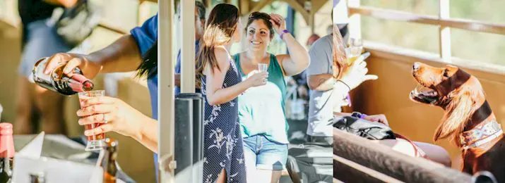 Destination Coupons tweet media