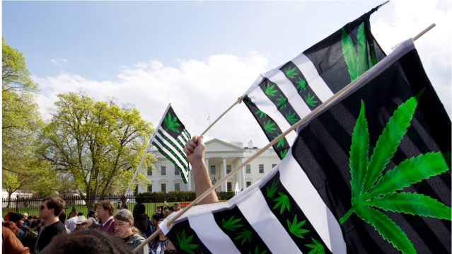 Important issue being raised here that actually now the authorities must proceed with full legalisation or else what was the point of federal pardons? #cannabis #cannabiscommunity #weed #marijuana #thc #CBD #cannabisculture <a href="/cbt_bot/">CBT役に立つかもしれない情報bot</a> <a href="/TheWeedSpot_/">WeedBOT</a>