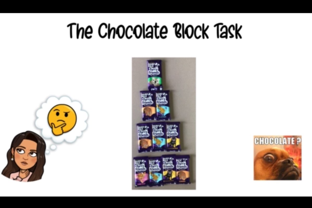 Katelyn Correia tweet media