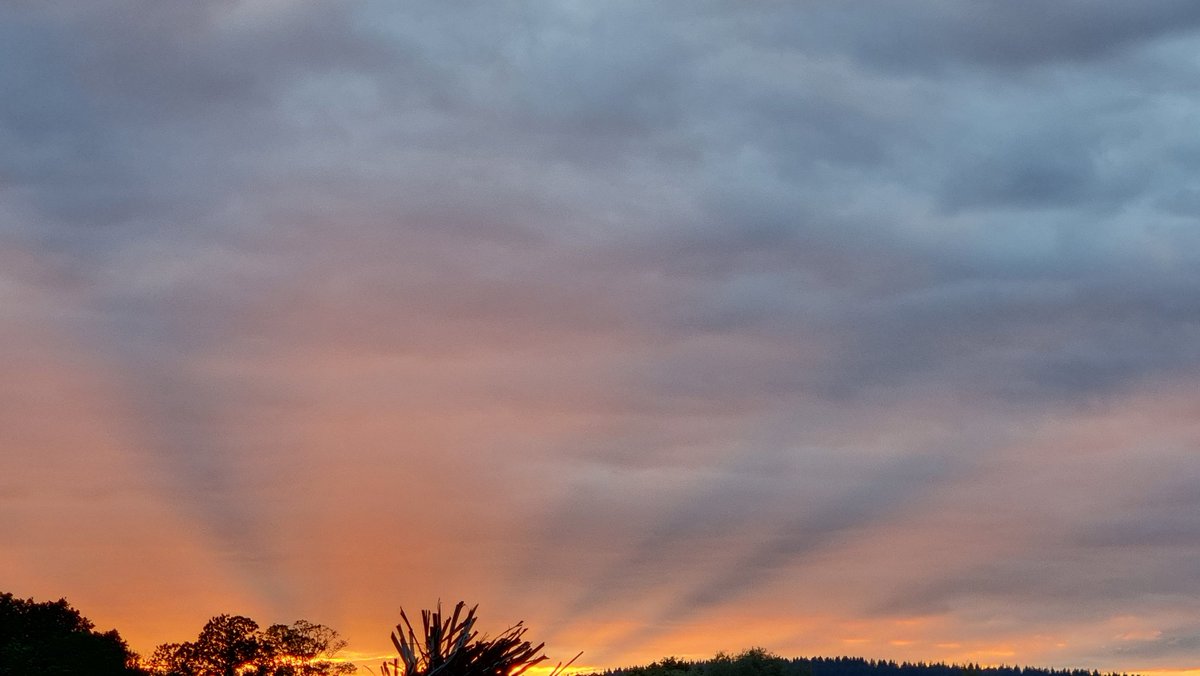EdserAlison's tweet photo. #BBCWeatherWatchers https://t.co/tNtBeN5H3b