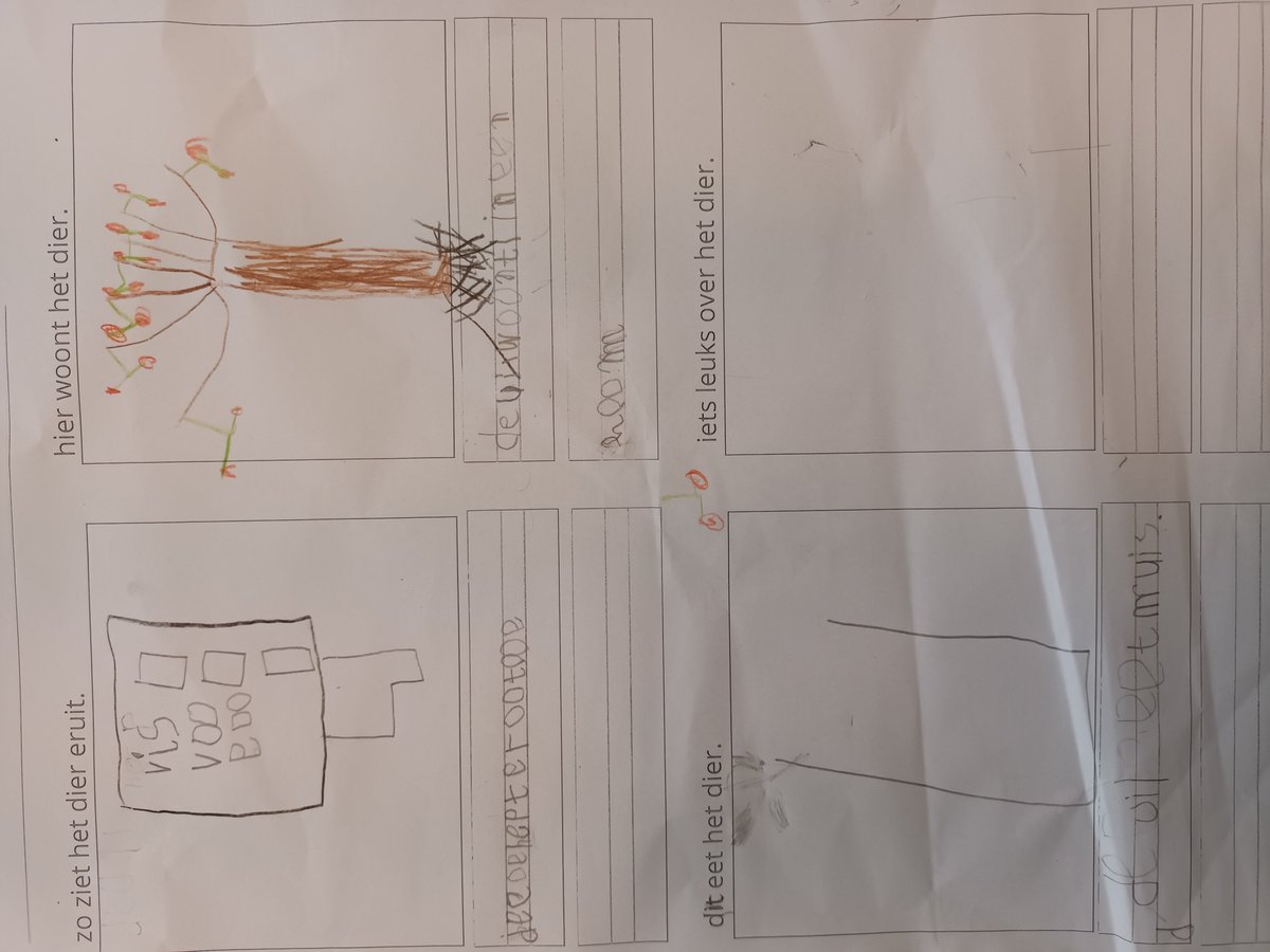 Groep 3 deed een klein eerste onderzoek naar een dier. Ze kregen een voorbeeld over de uil en lazen daarna een tekst over een ander dier. De informatie verwerkten ze in een soort poster. Een aantal kinderen deed samen met mij nogmaals de uil. Zo lukte het uiteindelijk iedereen.